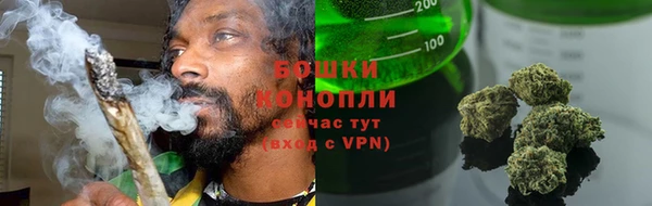 дмт Кодинск