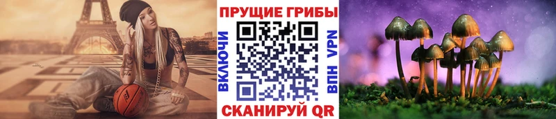 Псилоцибиновые грибы прущие грибы  Лахденпохья 